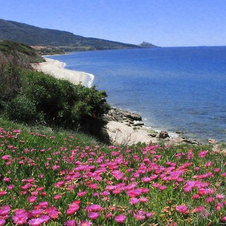 Residenza Sul Mare Aparthotel Валедория Екстериор снимка